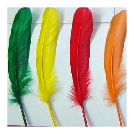 Plumes d'ENCRIER couleurs VIVES 29 / pqt