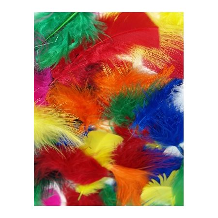 Plumes assorties MULTICOLRES 8g / pqt