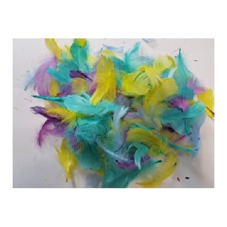 Plumes assorties couleurs PASTELS 8g / pqt