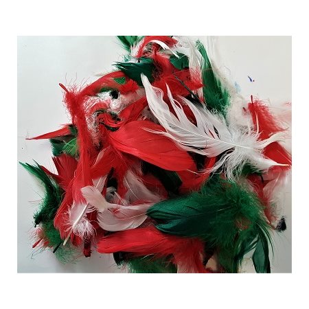 Plumes assorties couleurs NOEL 8g / pqt